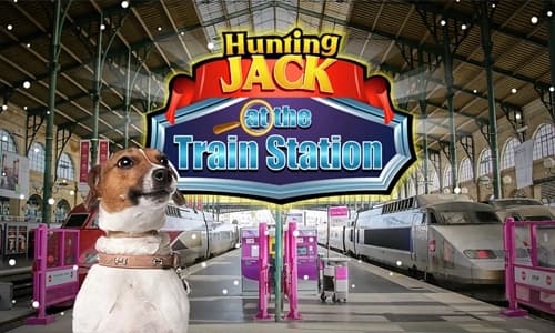 Capa do jogo Caça ao Cãozinho na Estação