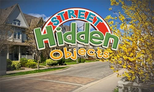 Capa do jogo Street Hidden Objects