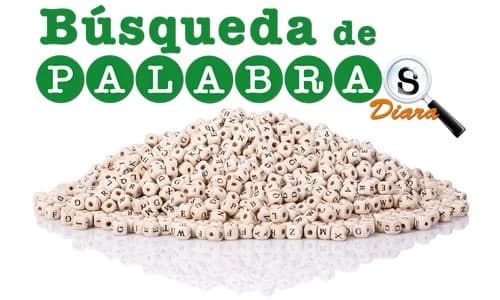Capa do jogo Búsqueda de Palabras Diaria