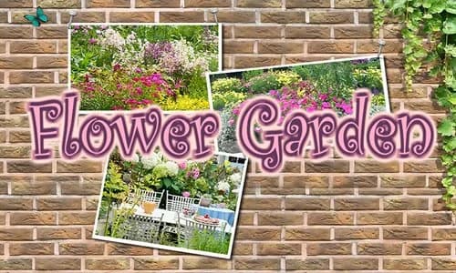 Capa do jogo Flower Garden