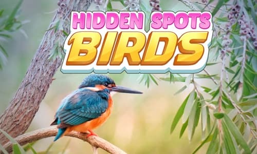 Capa do jogo Hidden Spots - Birds
