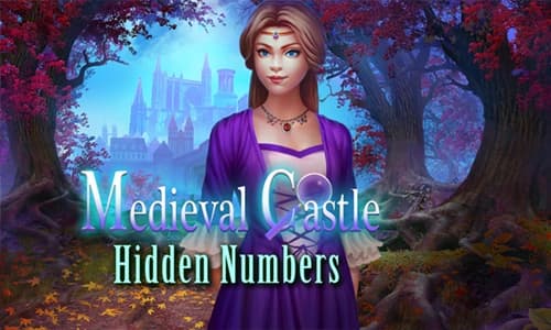 Capa do jogo Medieval Castle Hidden Numbers