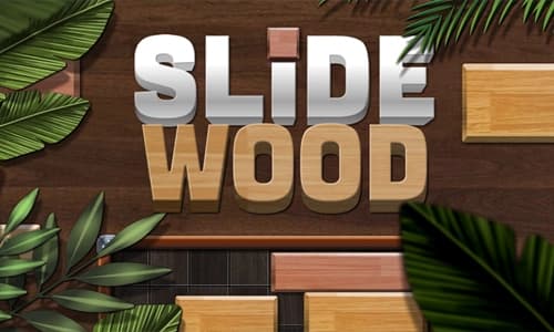 Capa do jogo Slide Wood